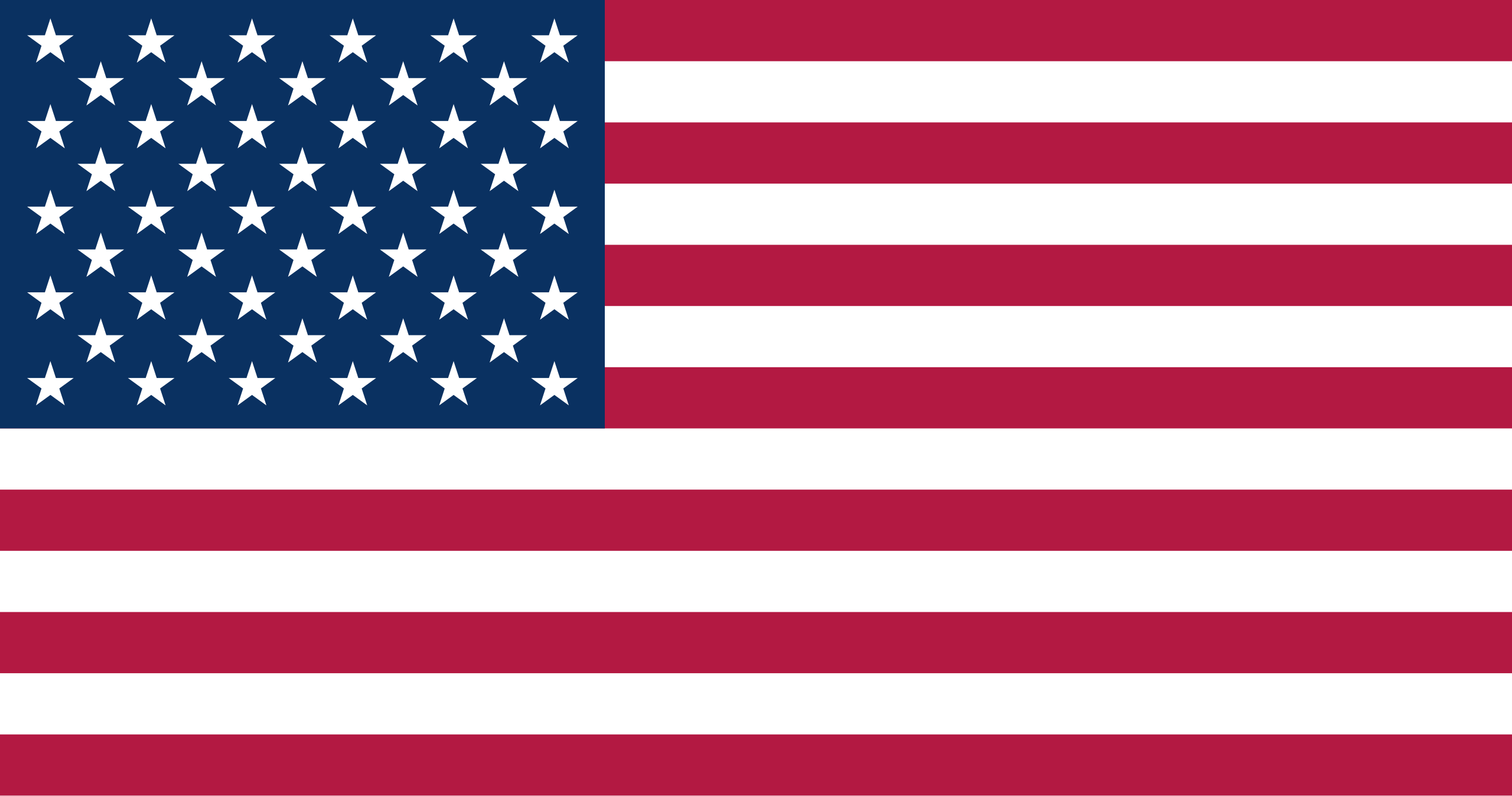 United States  dollar flag